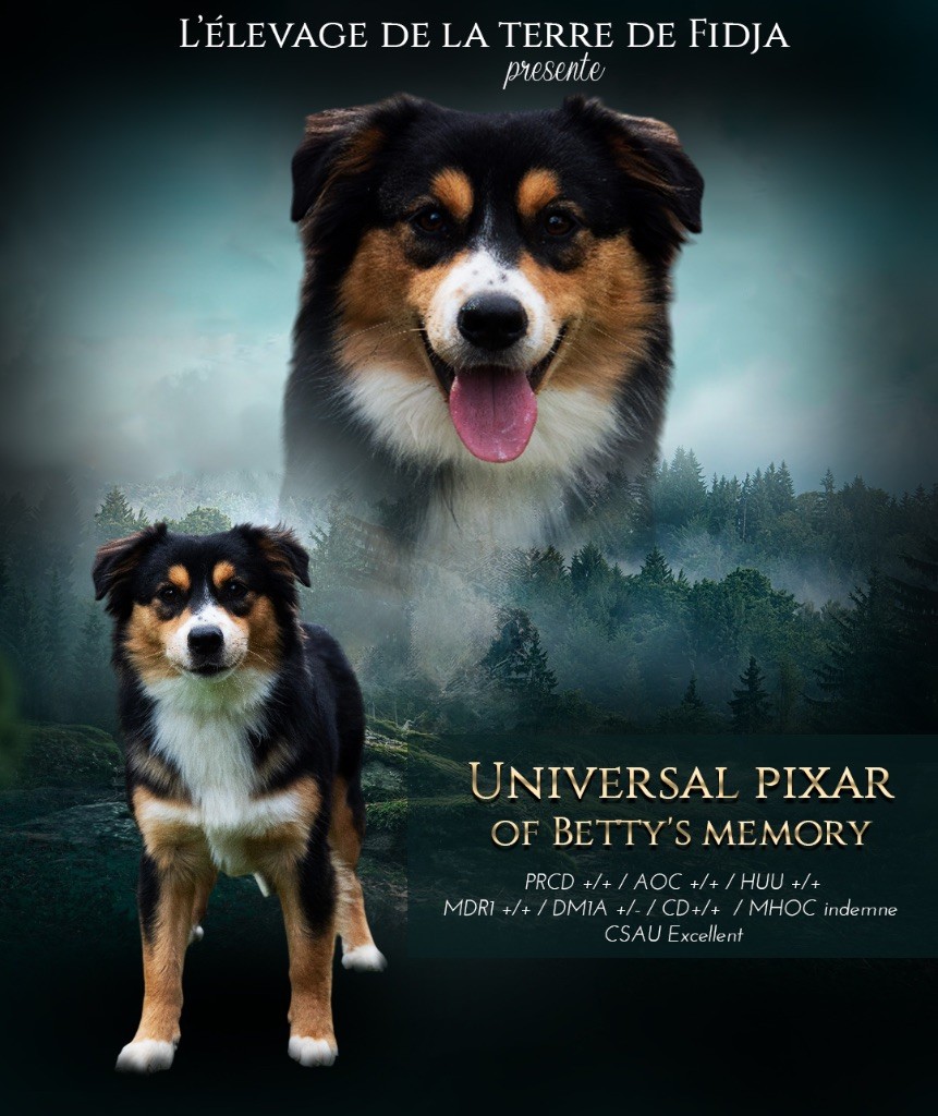 Universal pixar elementary of betty'memory