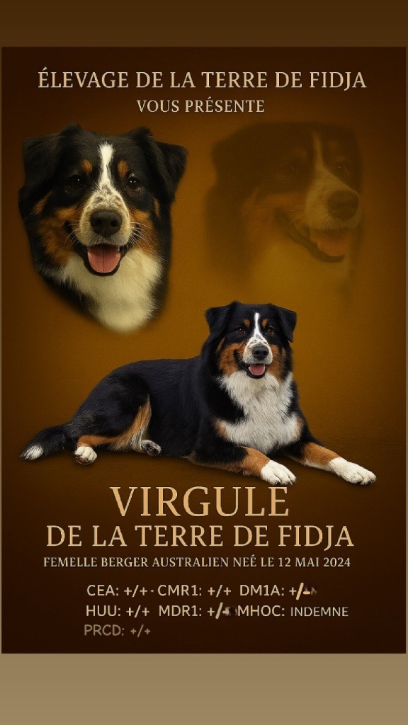 Virgule de la Terre de Fidja