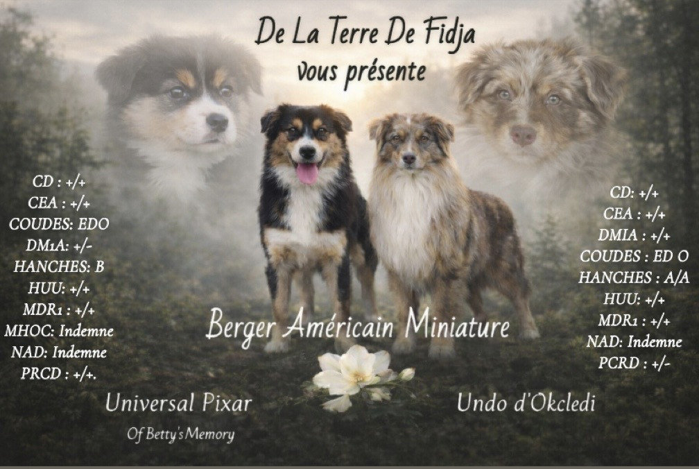 Des petites truffes pour mi Avril