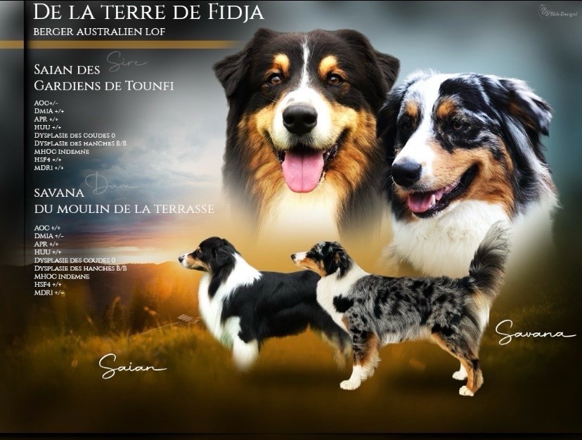 Bébés prévus pour début novembre 